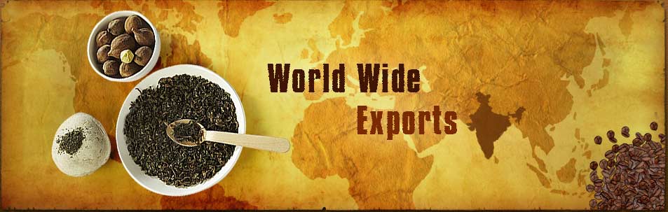 J and T EXPORTS