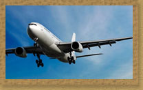 J and T EXPORTS