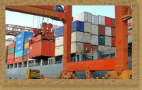 J and T EXPORTS