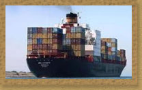 J and T EXPORTS