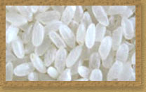 J and T EXPORTS